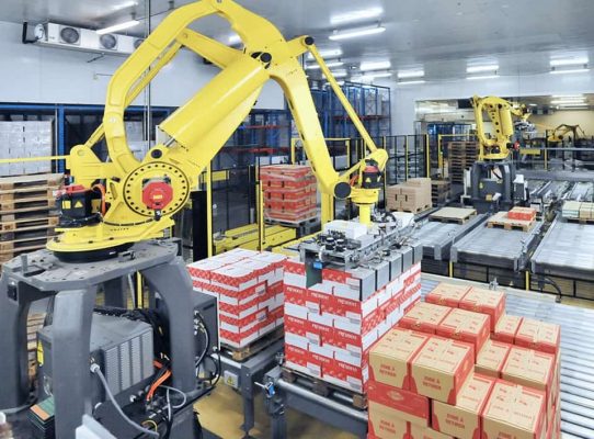 Robot gắp và sắp xếp sản phẩm với cánh tay robot công nghiệp